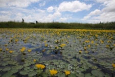 365일 핫플레이스 부산, 이색적인 여행지 가볼만한 곳은?