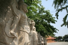 더위로 사라진 입맛, 안면도 여행가서 게국지 맛집에서 챙긴다