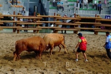 [국내여행] 역사의 땅 진주, 민족의 혼 담긴 문화의 고장으로 여행