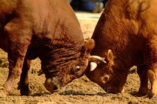 [국내여행] 역사의 땅 진주, 민족의 혼 담긴 문화의 고장으로 여행