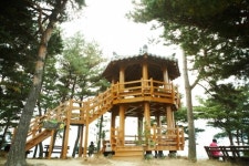 나를 설레게 하는 속초 여행, 대포항 맛집 힐링여행