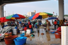 2017 강릉 주문진해수욕장 축제! 꼭 들려주어야 하는 주문진 맛집