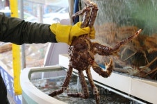 무더위야 물렀거라! 여름휴가지 1순위 강릉, 그리고 주문진맛집 여행