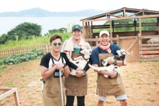 삼시세끼 바다목장 편 이서진, 에릭, 윤균상 득량도 삼형제 다시 뭉쳤다
