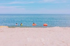 연곡해수욕장서 솔향기 휴식...강릉 주문진맛집서 미각투어
