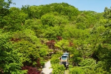 곤지암리조트, 도자공원, 화담숲, 웰빙 맛집 등 가볼만한 곳 많은 경기도 광주
