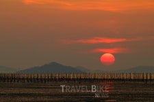 연꽃 만발한 무안, 문화체험으로 더욱 커진 남도여행 즐거움