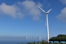 대게가 오라하네 강구항 가볼만한 곳 베스트 영덕 대게맛집