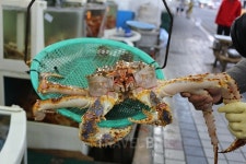 강릉휴가 가볼만한 곳 1순위 강릉주문진 맛집