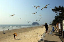 떠나자, 안면도 포구기행! 태안지역 게국지 맛집 함께 들르면 좋아