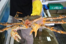 걷기 좋은 데이트코스와 안양 여행, 맛집탐방은 필수