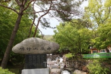 [국내여행] 싱그러움이 가득한 보성, 추억 한 잔에 담긴 여행