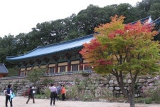 볼거리 풍성한 가을 여행지 속초, 동명항 맛집에선 원기충전