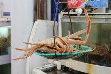 주문진 여행, 맛집의 고장에서 즐기는 아슬아슬 라이딩! 강릉 레일바이크