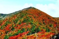 추석연휴 단풍 따라 드라이브...속초 가볼만한 곳 대포항맛집