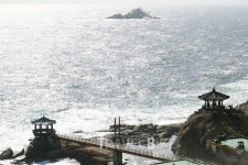 추석연휴 단풍 따라 드라이브...속초 가볼만한 곳 대포항맛집