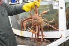 아이들과 함께 보물섬같은 강릉 여행과 맛집을 찾아서