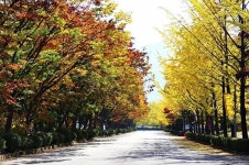 야, 가을이다! 하남 맛집 찾아 출발하는 낭만 여행길