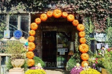 안면도에 가을 향기 절정, 게국지 맛집 방문기