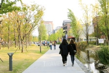 밤도깨비 찾아간 연남동 맛집 알고 봤더니 수요미식회에도 나온 집