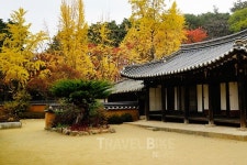 가을과 겨울 사이에서 강릉 여행, 주문집 맛집까지 즐기는 방법은?