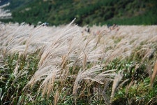 울산여행, 울산 가볼만한 곳과 합리적인 가격으로 즐기는 한우 맛집