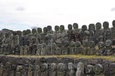 알쓸신잡 제주도의 푸른 밤! 깜짝 방문한 안테나 소속가수는?