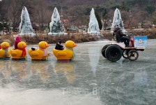 산정호수 찾아 주말 여행, 허브아일랜드와 포천 이동갈비맛집 어때