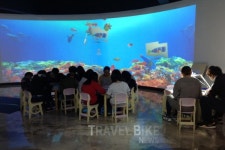 크리스마스 가볼만한 분당 여행지도 가고, 맛집도 즐겨