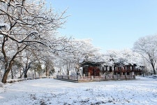 아호고려한옥체험 | 여자끼리 떠나는 '전주' 겨울여행, 한옥스테이에서 우아하게!