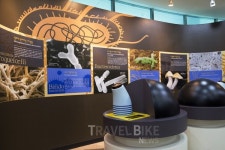 정선아리랑열차 타고 가족과 함께 색다른 강원도 기차여행