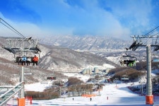 겨울 스포츠 여행, 스키와 펜션의 모든 것 (1)