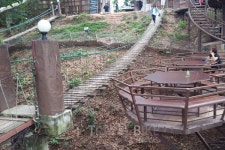 치앙마이 핫플레이스, 카페 더 자이언트 치앙마이