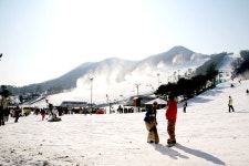 겨울 스포츠 여행, 스키와 펜션의 모든 것 (2)