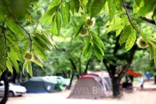 겨울 스포츠 여행, 스키와 펜션의 모든 것 (2)