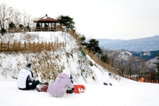 겨울 스포츠 여행, 스키와 펜션의 모든 것 (2)