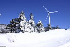 여행업계, 겨울 기획전으로 겨울 관광객 유혹