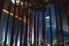 겨울방학 여행지, 세종시 박물관 가볼 만한 곳도 많아...