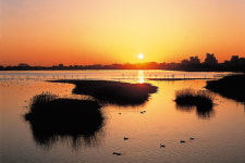 해돋이 여행지로 떠나는 속초, 가볼만한 맛집은?