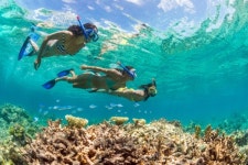 미세먼지 피해 나만의 휴양지로... 남태평양 추천 여행지는?