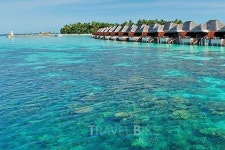 섬이라 쓰고 낙원이라 부른다, 몰디브 허니문리조트 탑3