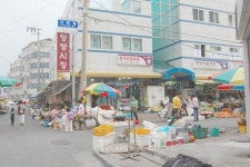 강원도 여행, 활력이 가득한 전통 시장 투어도 좋아! (2)