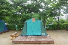 점점 풀리는 날씨… 주말 나들이 떠나기 좋은 가족캠핑장과 강동구 맛집 어디?