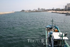 봄바람 살랑, 주말드라이브는 속초로! 장사항 바다 보고 맛집 가고