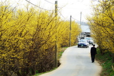 자전거도 좋고, 걸어도 좋은 양평 함께 즐기는 짬뽕 맛집은 어디?