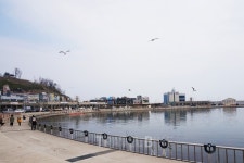 여유 가득한 봄 여행지, 속초 가볼만한 곳과 대포항 맛집