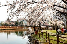 봄바람 싣고 달린다 광주 지하철투어, 요 거 재밌네!