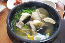 봄이 오는 속초 설악산, 소문난 맛집 가는 길 명소 많다