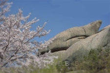2018 봄맞이 소소한 이벤트 열리는 속초 가볼 만한 곳과 여행의 묘미, 맛집 투어