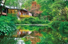 한국관광공사 선정 국내여행지 100선, 낭만이 가득한 남이섬